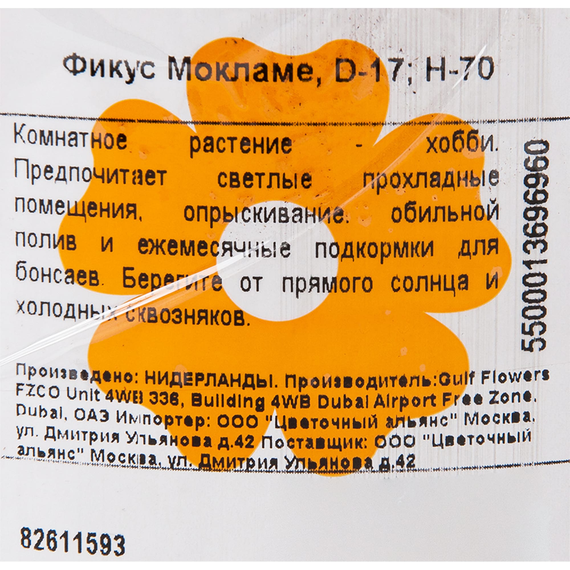 82611593 Фикус Мокламе 17x70 см Santreyd  - Вид №2