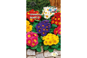 18408157 Семена Примула Марго 00000013532 СеДек