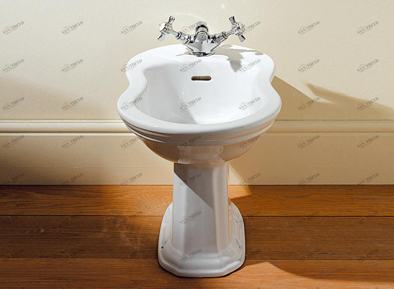 Биде напольное Oxford Devon&Devon sun-id-1466287