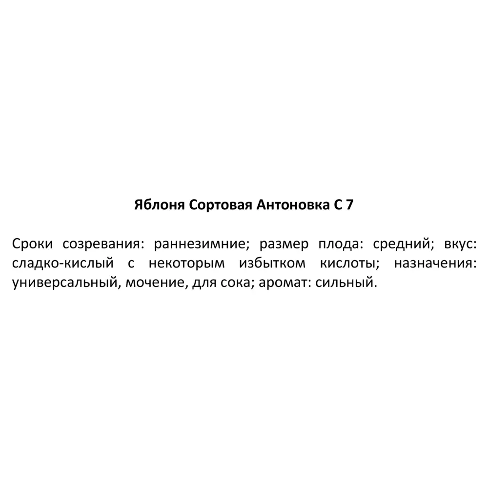 Яблоня сортовая Антоновка ø22 h110 см 84347439 STLM-2182130 Santreyd  - Вид №3
