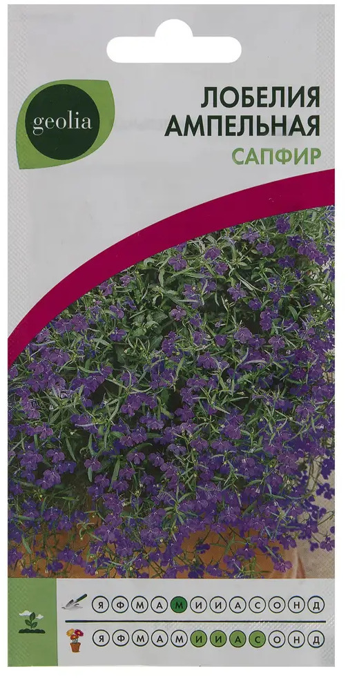 Лобелия ампельная Geolia «Сапфир» для кашпо и балконов 17585543