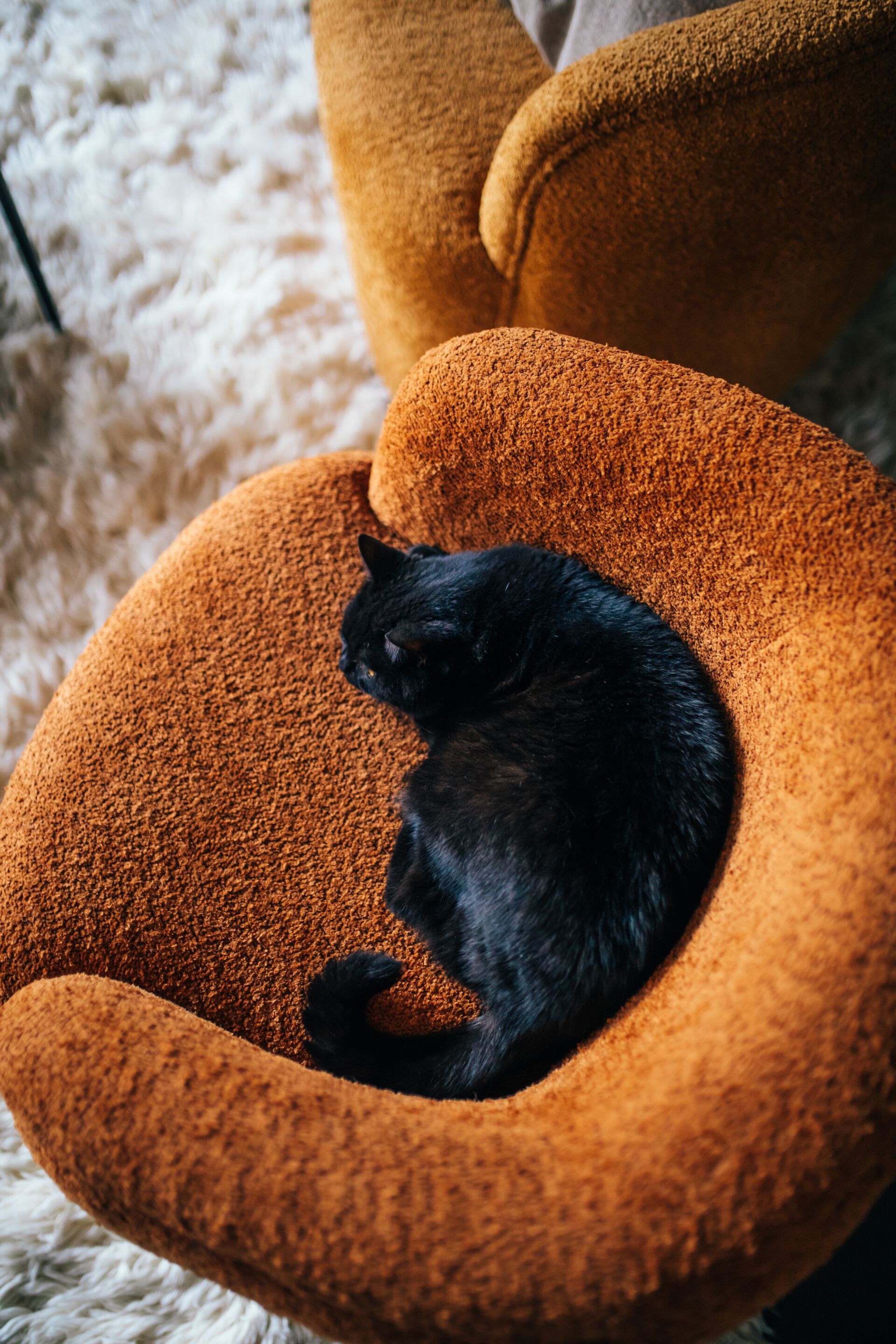 Тканевое кресло с подлокотниками POMAX Porterville ARCH-00028371 - Вид №18