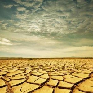 WP01715 Фотообои Verol Фотообои decoline 1х1 м