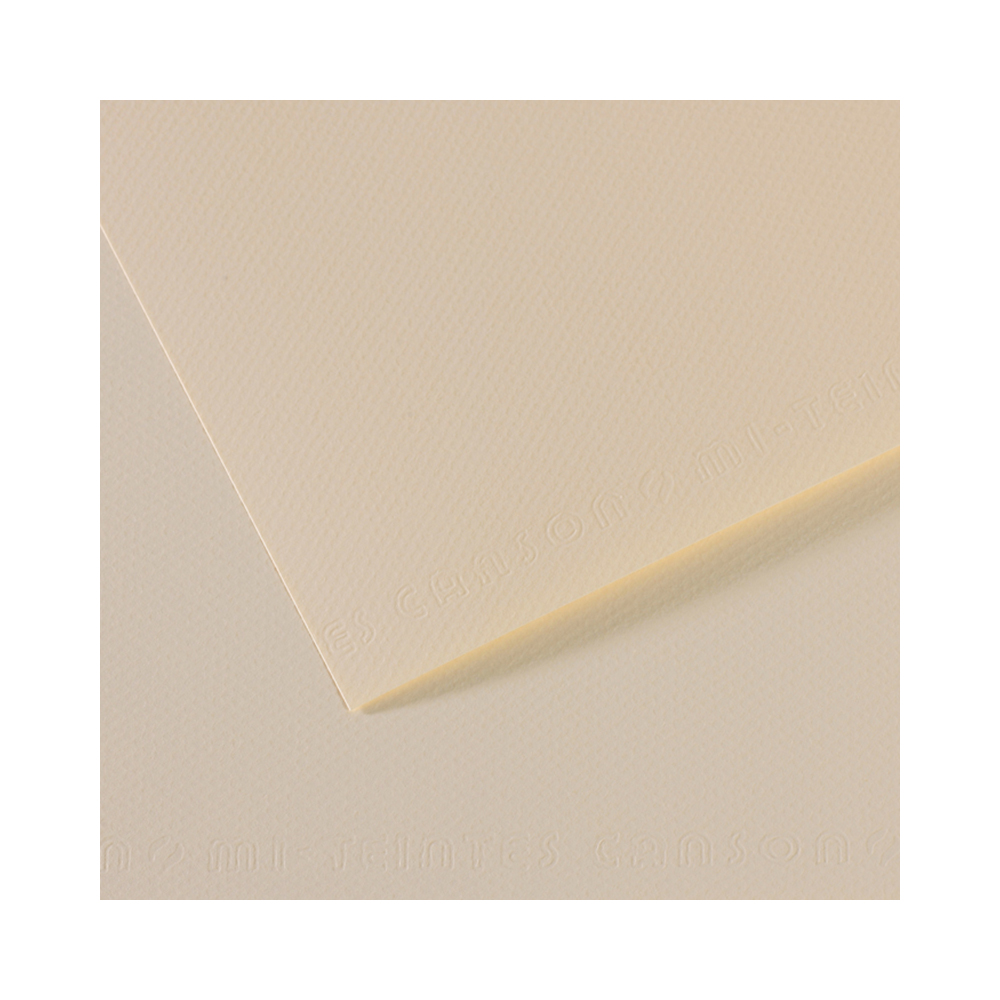 200321324 Бумага для пастели Mi-Teintes 160 г/м2 50 х 65 см лист №110 лилия Canson 