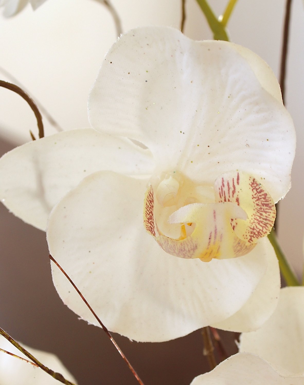 2625 778 a3 Искусственная орхидея Phalaenopsis, 2-х кратная, в керамическом горшке, 54 см, real touch, бежево-белая H-andreas  - Вид №5