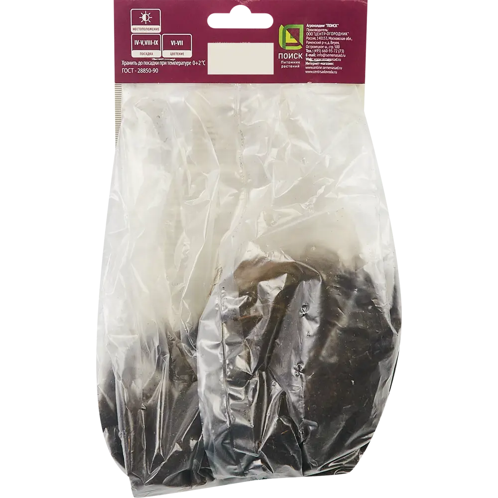 Астильба Дюссельдорф ПОИСК - яркое украшение сада 85186015 STLM-1566813 - Вид №1