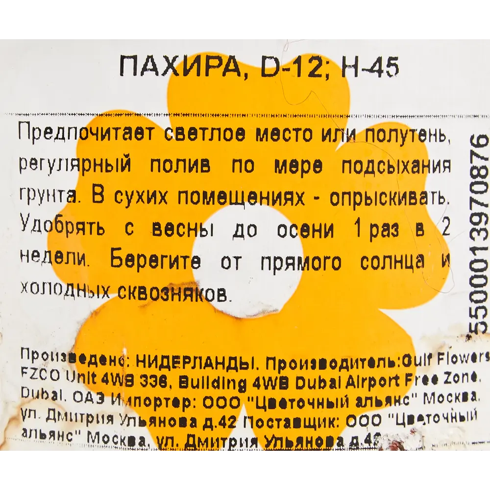 Пахира 12x45 см 82850371 STLM-2072911 Santreyd  - Вид №2