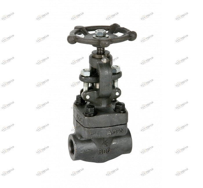 GENEBRE 2233n 06 Globe valve class 800 (2233S - S.W. ends) 