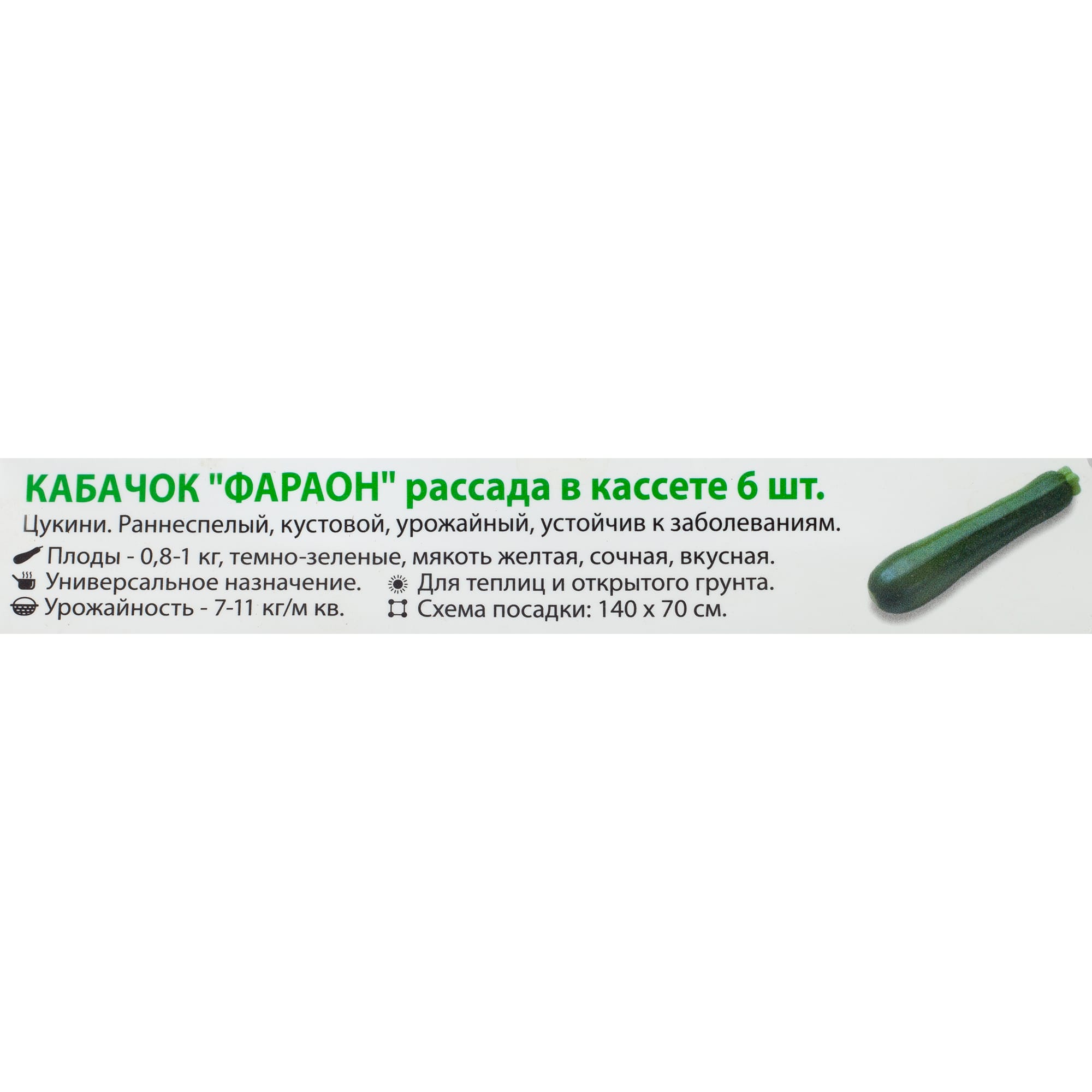 12714019 Кабачок, P6 Н15 Santreyd  - Вид №1