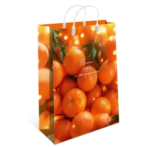 Подарочный пакет Арт и дизайн 40x30 см в ассортименте