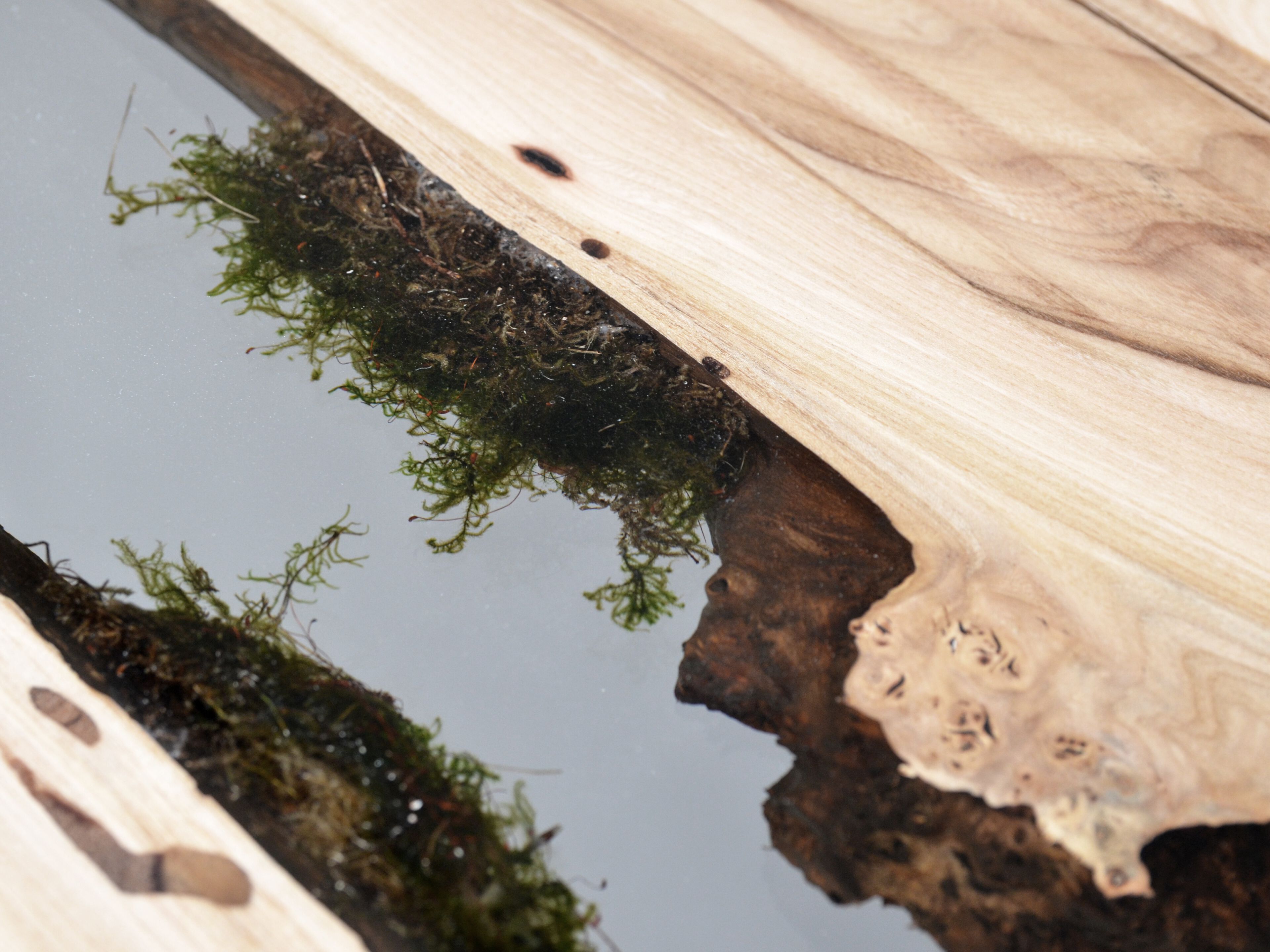 Прямоугольный стол из массива дерева и смолы alcarol Undergrowth ARCH-00021316 - Вид №3