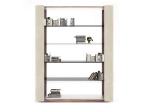 Стеклянный книжный шкаф