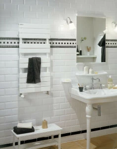 Водяной радиатор SX-185-060 Régate Acova 1851