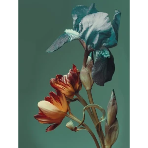 Картина на стекле "Цветы зеленые" 60x80 см 82924207 STLM-2153786