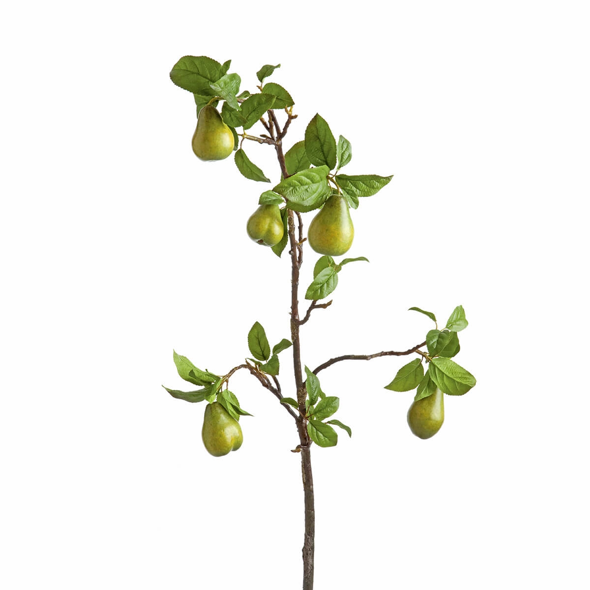 230056-70 ABHIKA ГРУША ФИЛИАЛ GREEN 