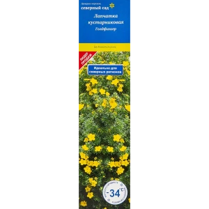 Лапчатка кустарниковая Северный сад «Голдфингер» 18350607 STLM-2138127