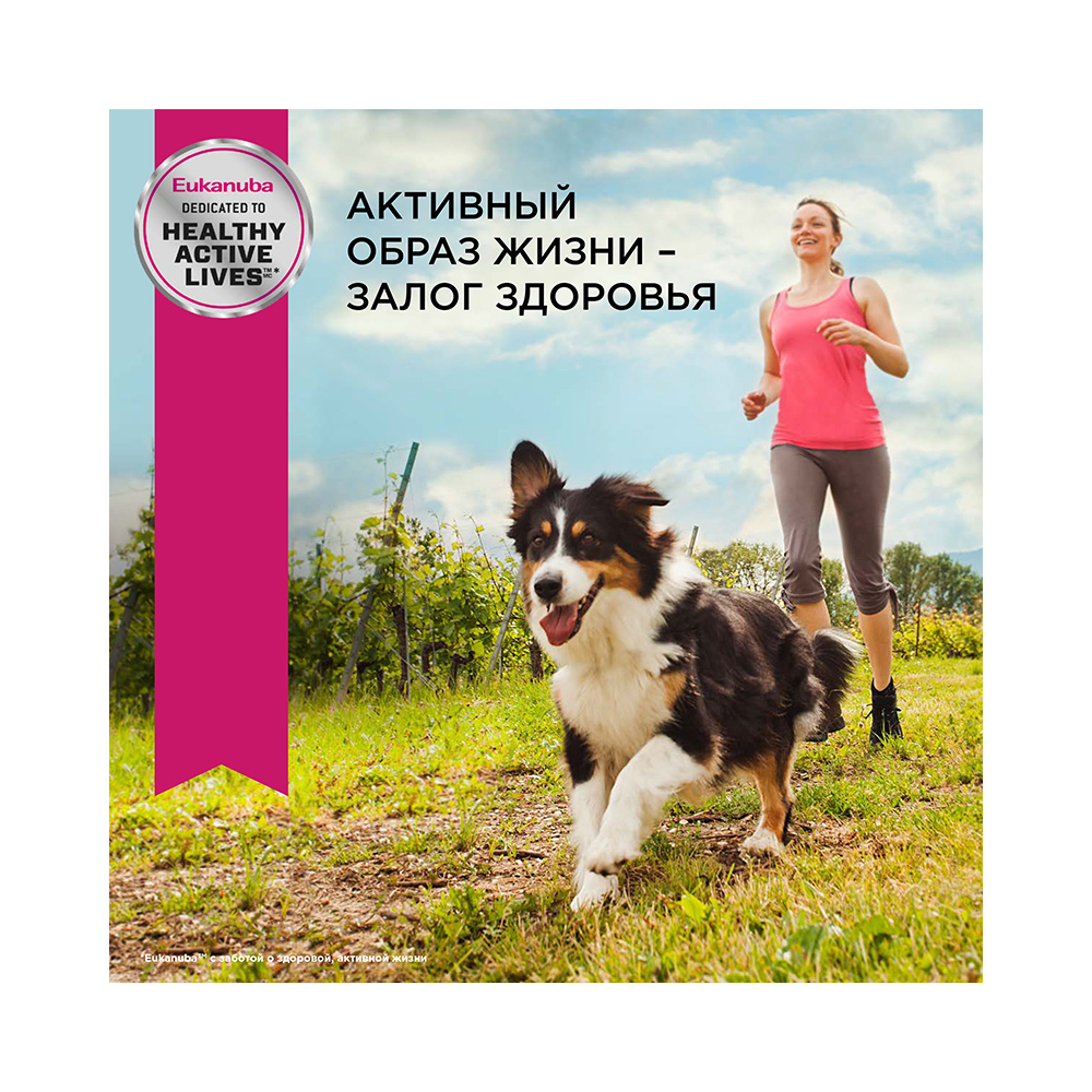 Т00001284 Корм для собак для мелких и средних пород ягненок, рис сух. 1кг Eukanuba  - Вид №7