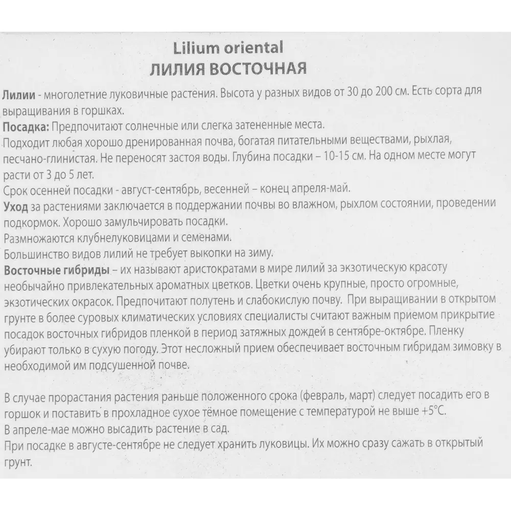 Лилия восточная Арабиан Ред 85205784 STLM-2159121 ПОИСК  - Вид №2