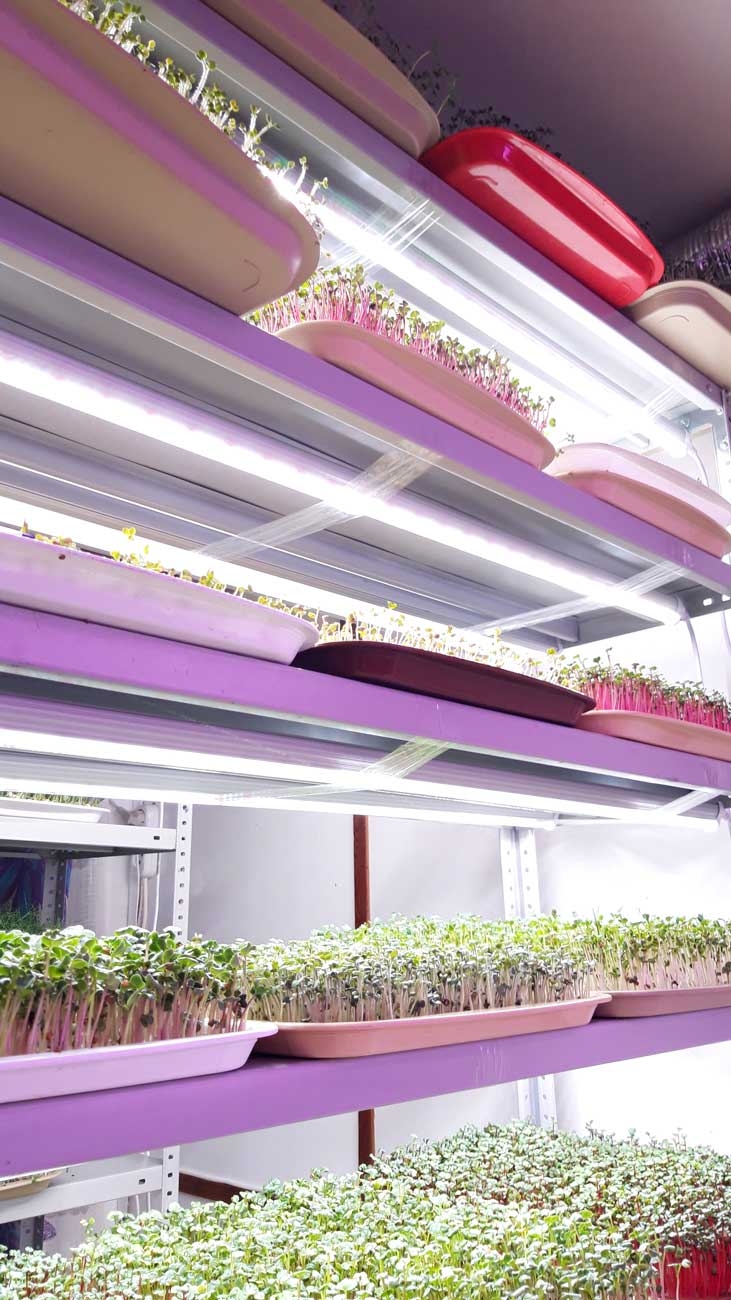 1036 Фитолампа для растений линейная VA-3 60 см Биколор комфорт 5000+660 LAB.Space  - Вид №7