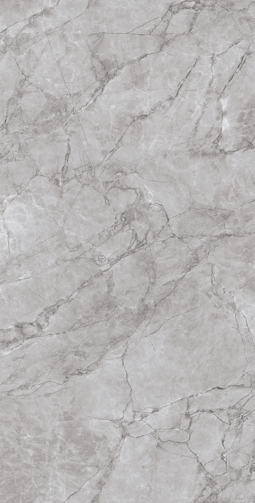 ARCTIC GREY ARCADIA CERAMICA CR4012-A - Вид №7