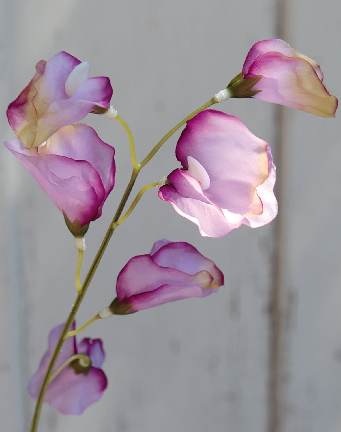 3181 005 a3 Вики искусственные, 4 штуки, 48 см, разноцветная миткалевая роза H-andreas  - Вид №5