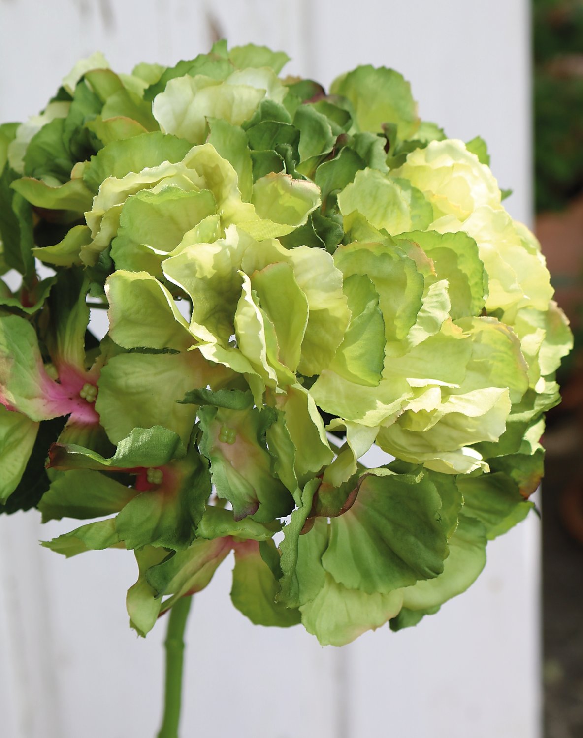 9901 883 a3 Гортензия искусственная, 40 см, зеленая H-andreas  - Вид №4