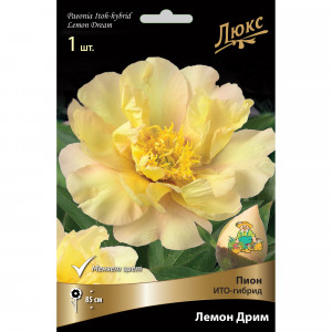 82661886 Пион ито-гибрид «Лемон Дрим» разбор 2-3