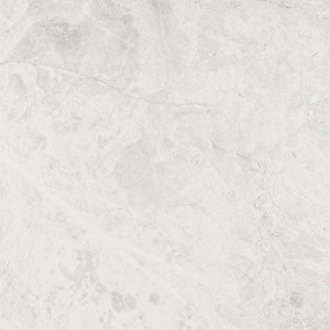 K949156R0001VTE0  Vitraglobal Versus XL