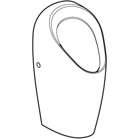 116.081.00.1 Настенный писсуар, уринал с мушкой Geberit  - Вид №1