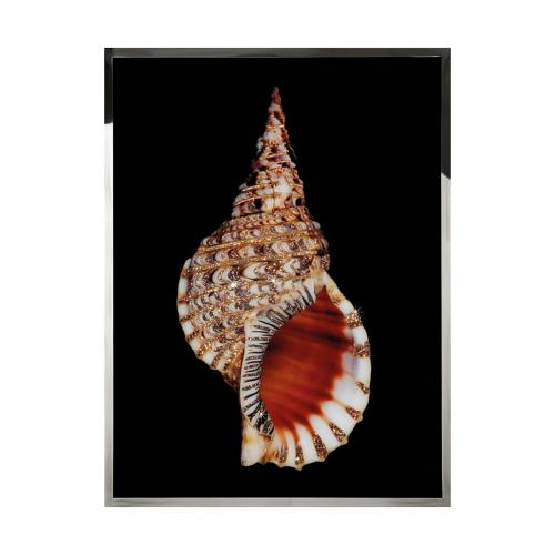 Tritonis Смешанная техника Visionnaire 