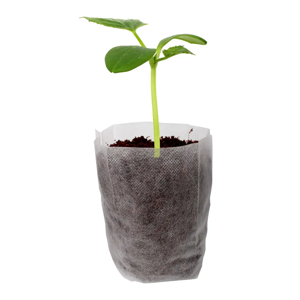 Комплект для рассады полипропилен 1 л 100 шт Santreyd STLM-2126477 - Вид №2