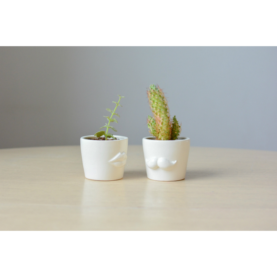 Набор для выращивания Eco мини-кашпо «Усы» ЭКОЧЕЛОВЕКИ MIN102 - Вид №5