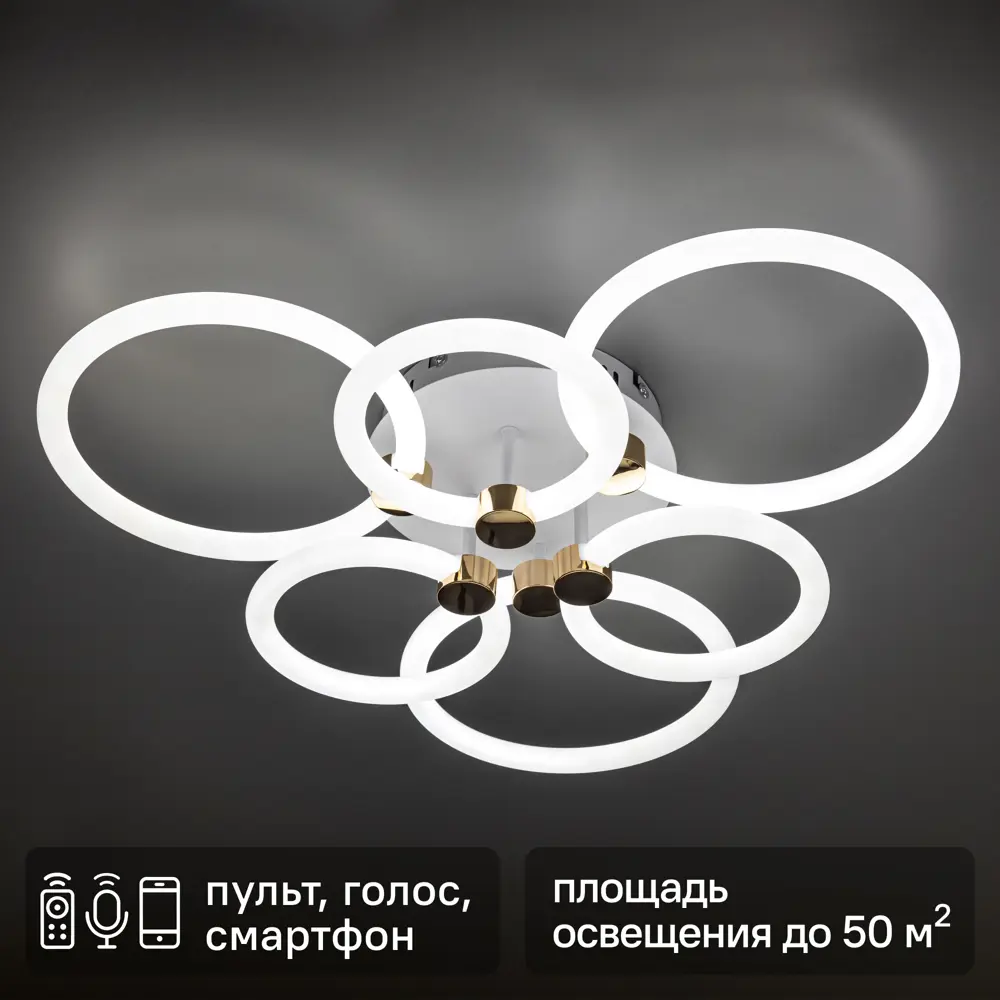 Умная потолочная люстра Ritter Ottimo с голосовым управлением и диммированием 88333163