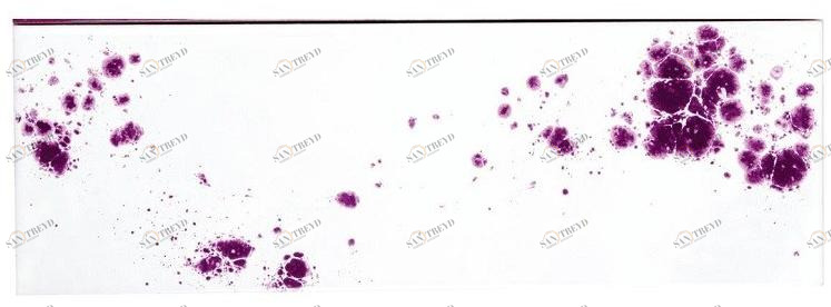 Danilo Ramazzotti Внутренняя облицовка майоликой Inchiostro simpatico Is5d