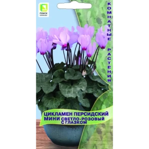 Семена цветов Поиск цикламен с глазком светло-розовый 2 шт. 86218058 STLM-2165712