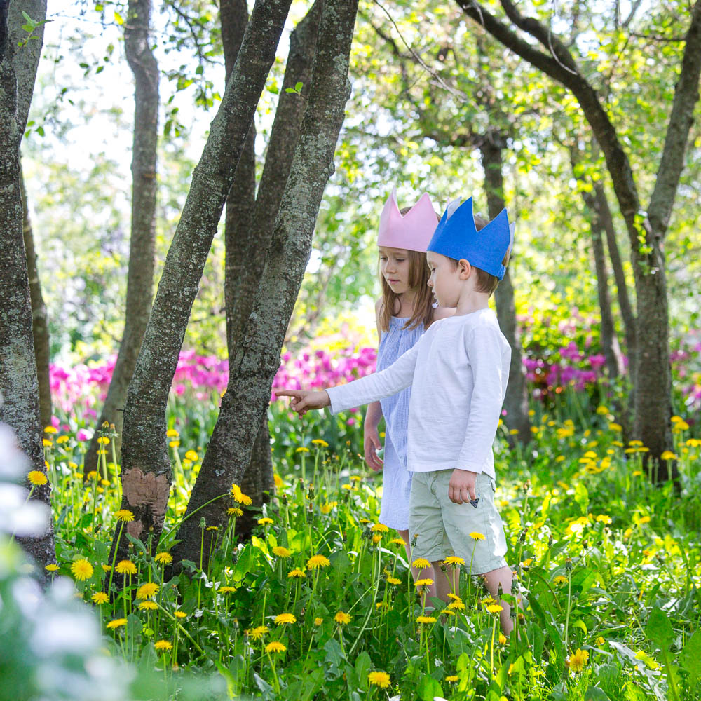 Детская корона Simple Pink VAMVIGVAM SIMPLE PINK 281511 Розовый Santreyd  - Вид №3