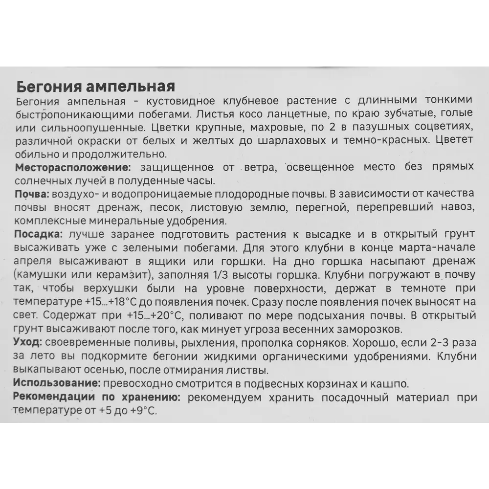 Бегония ампельная смесь окрасок 3 шт 86408535 STLM-2186412 Santreyd  - Вид №2