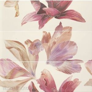 Decor Set (3) Bloom Desert 85x84