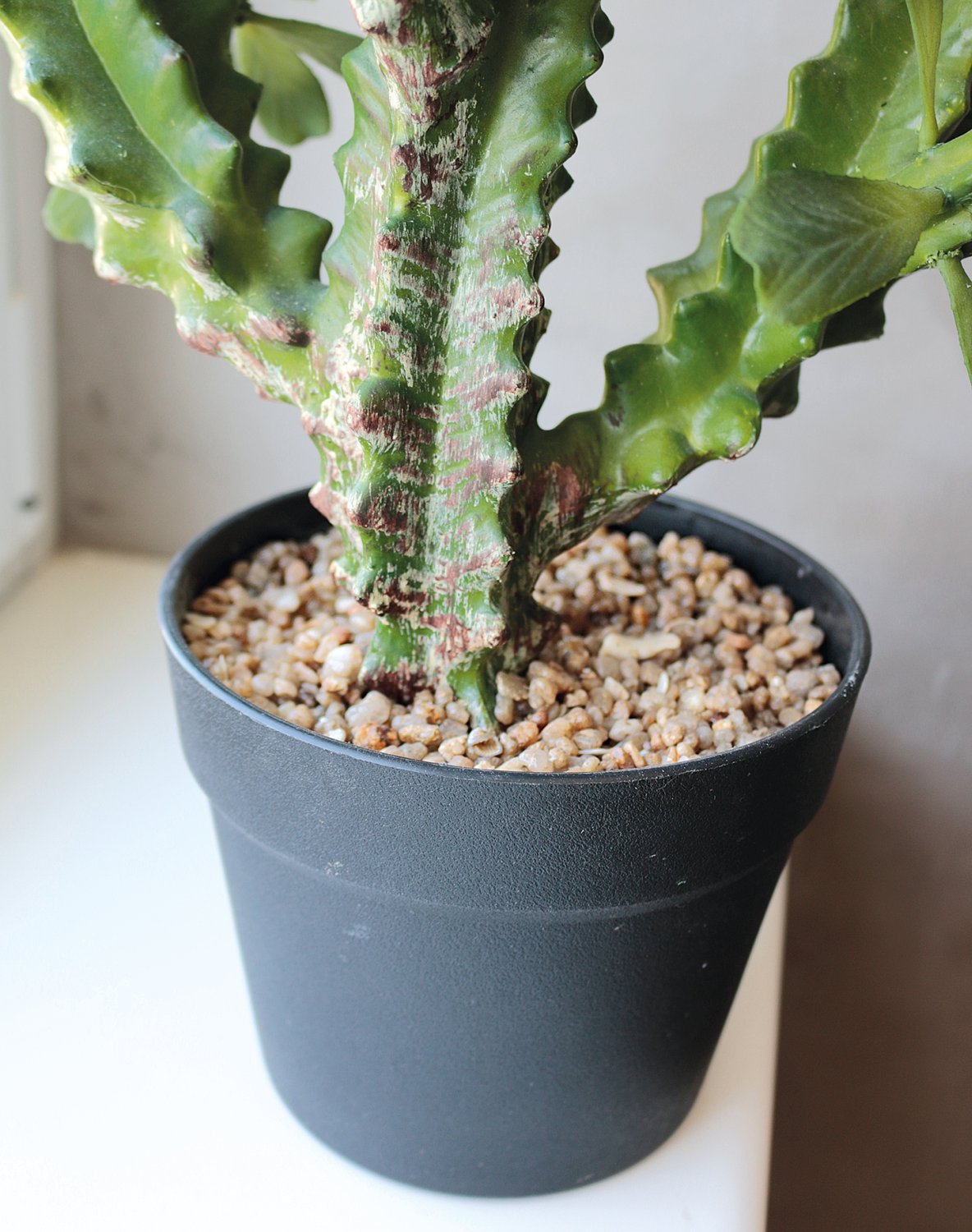 6147 883 a3 Молочай искусственный тригона, горшечный, 63 см, зеленый H-andreas  - Вид №4