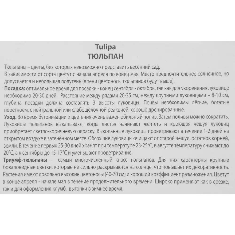 Тюльпан Гранд Перфекшн ПОИСК - луковицы для изысканного сада 85205529 STLM-1577064 - Вид №2