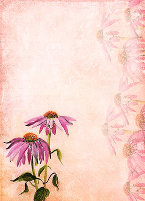 007451 Декупажная карта 21 x 29.7 см СК "В лучах солнца мини" Чип-Арт 