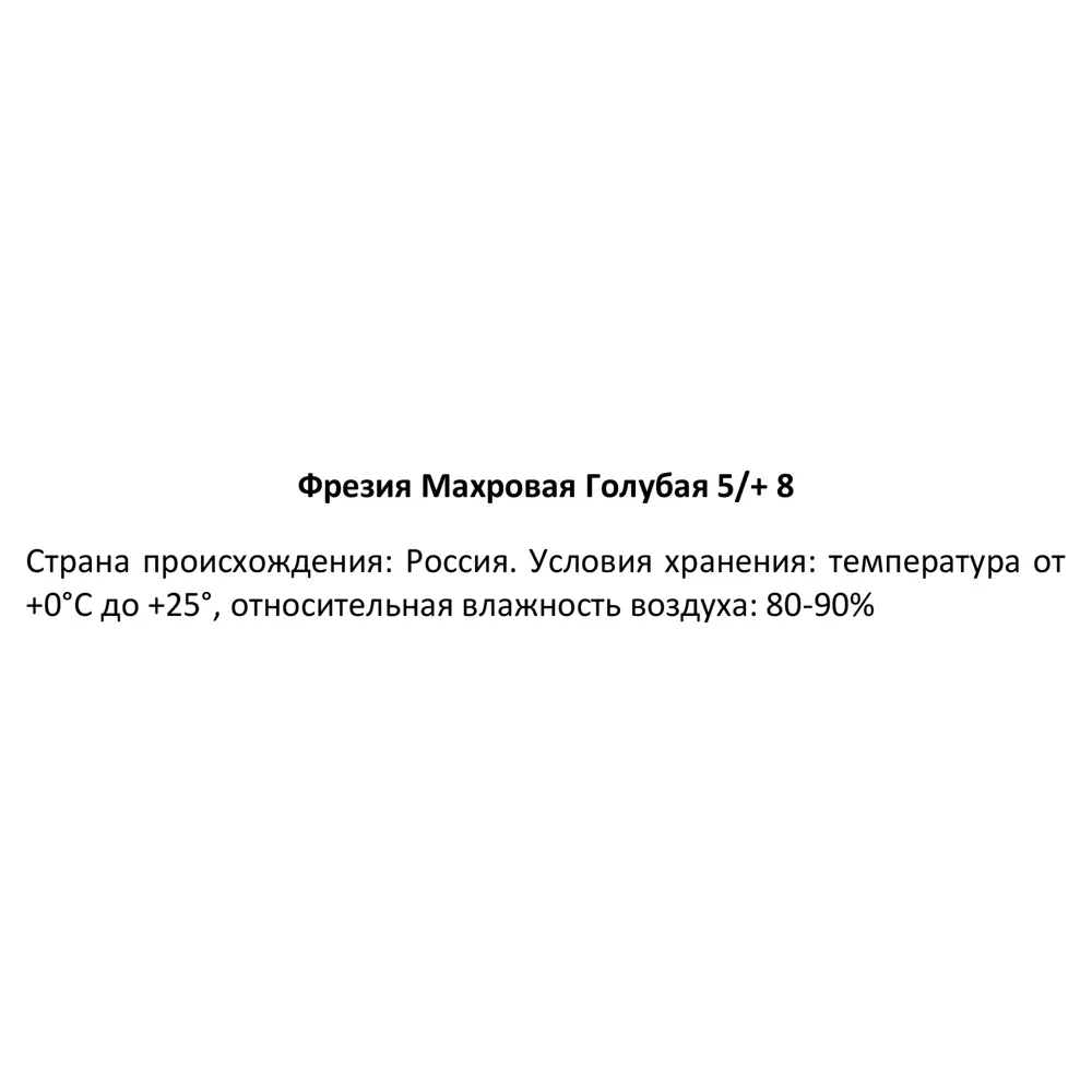 Фрезия махровая голубая 50 мм 89353111 STLM-2204422 Santreyd  - Вид №2