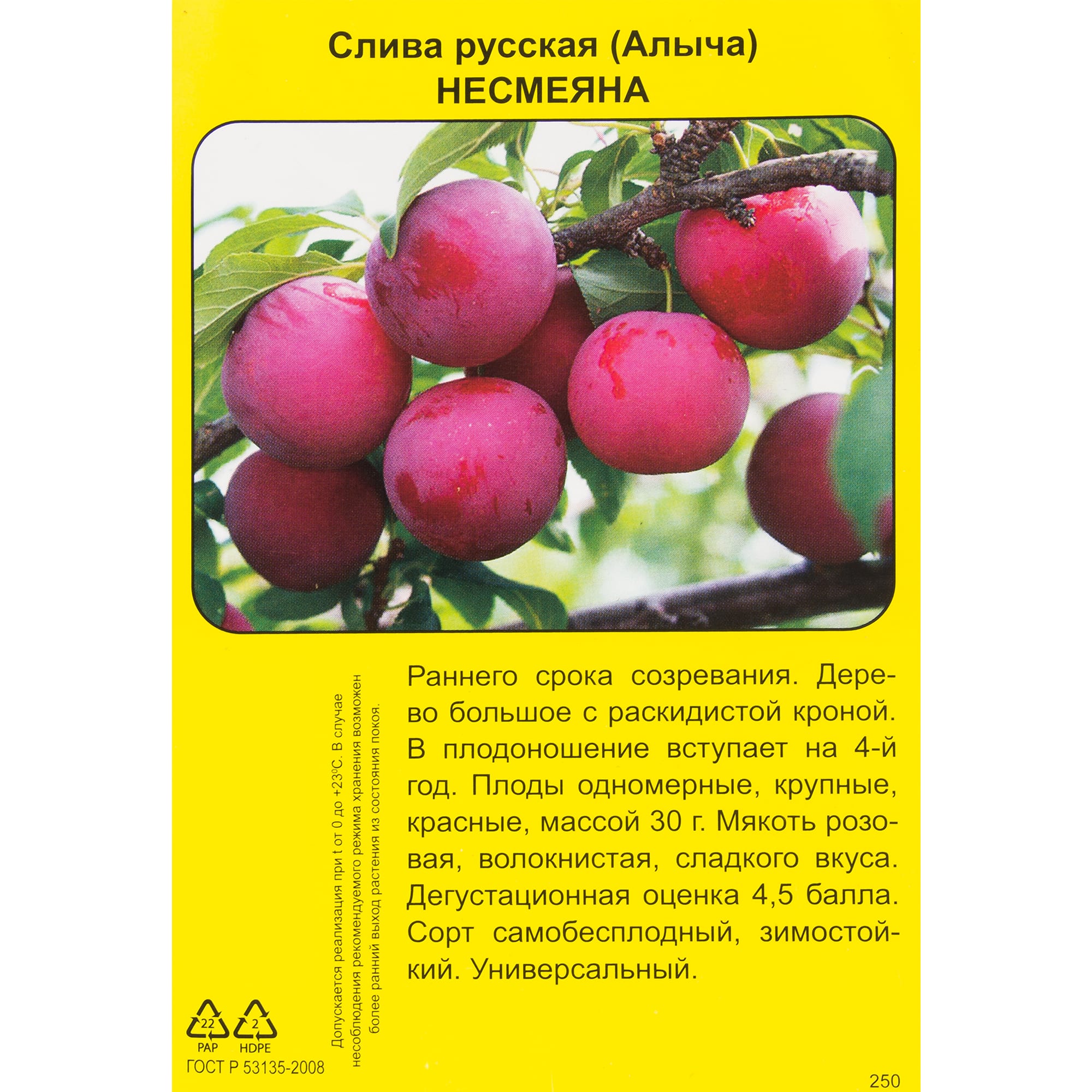 83787978 Слива русская Несмеяна h90 см Santreyd  - Вид №1