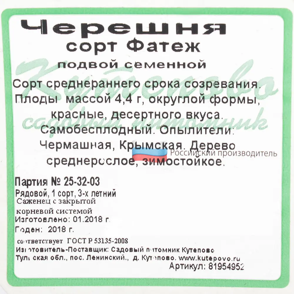 Черешня С7 «Фатеж» h180 (3 года) 81954952 STLM-2049220 Santreyd  - Вид №1