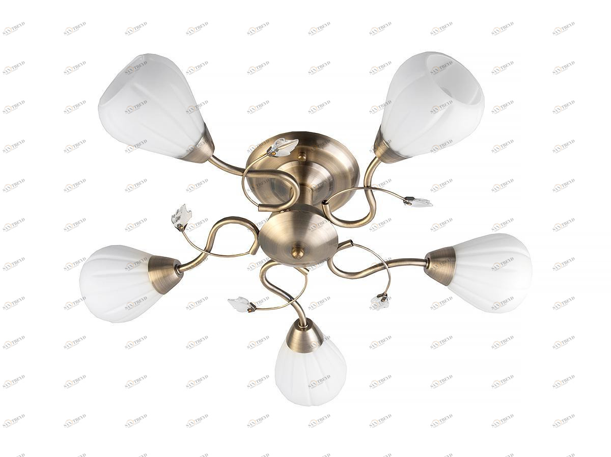 Потолочная люстра Toplight Lorin TL3570X-05AB TOPLIGHT LORIN 183545 Белый 