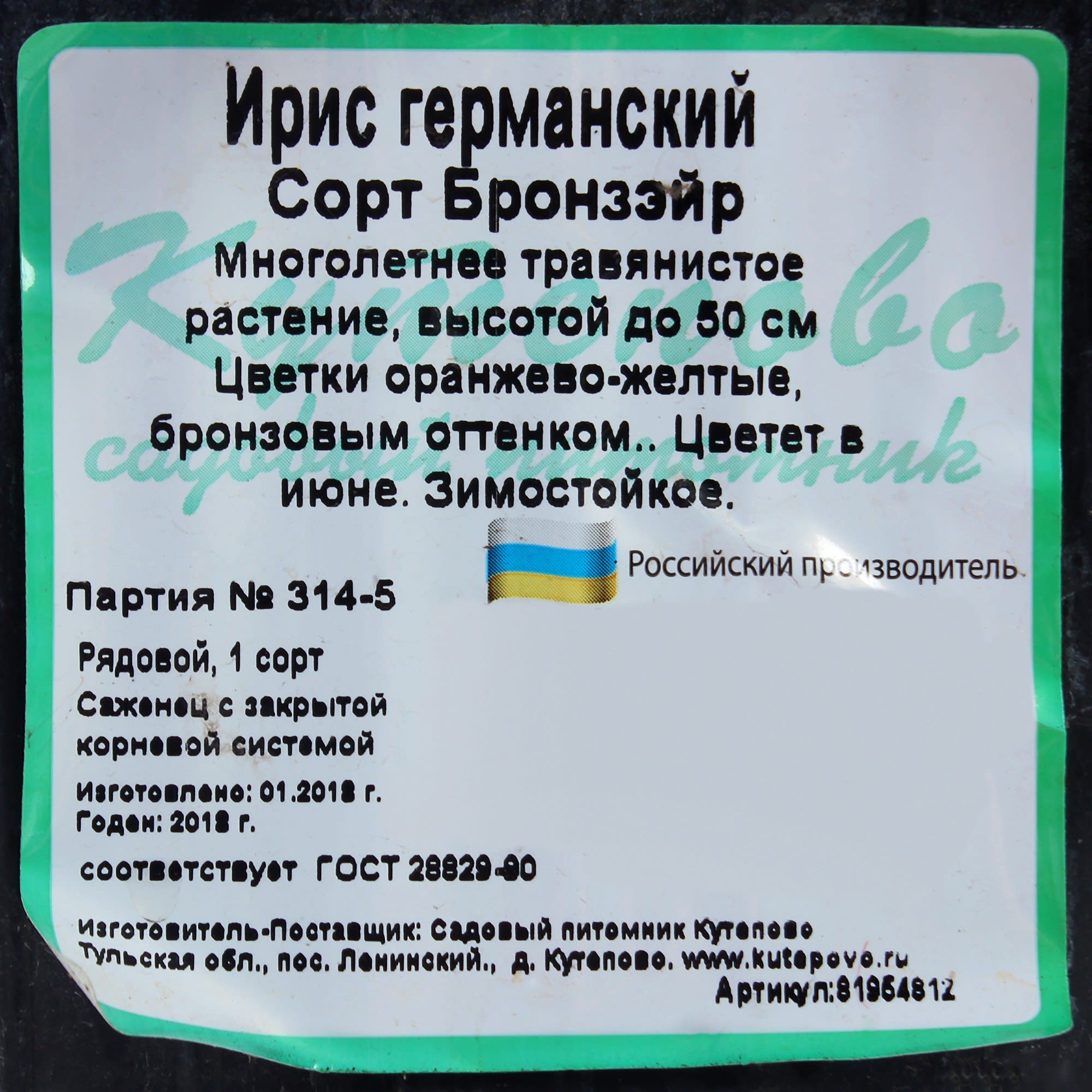 81954812 Ирис германский С1 «Бронз» Santreyd  - Вид №1