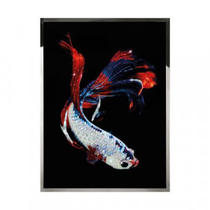 Betta Splendes Смешанная техника Visionnaire