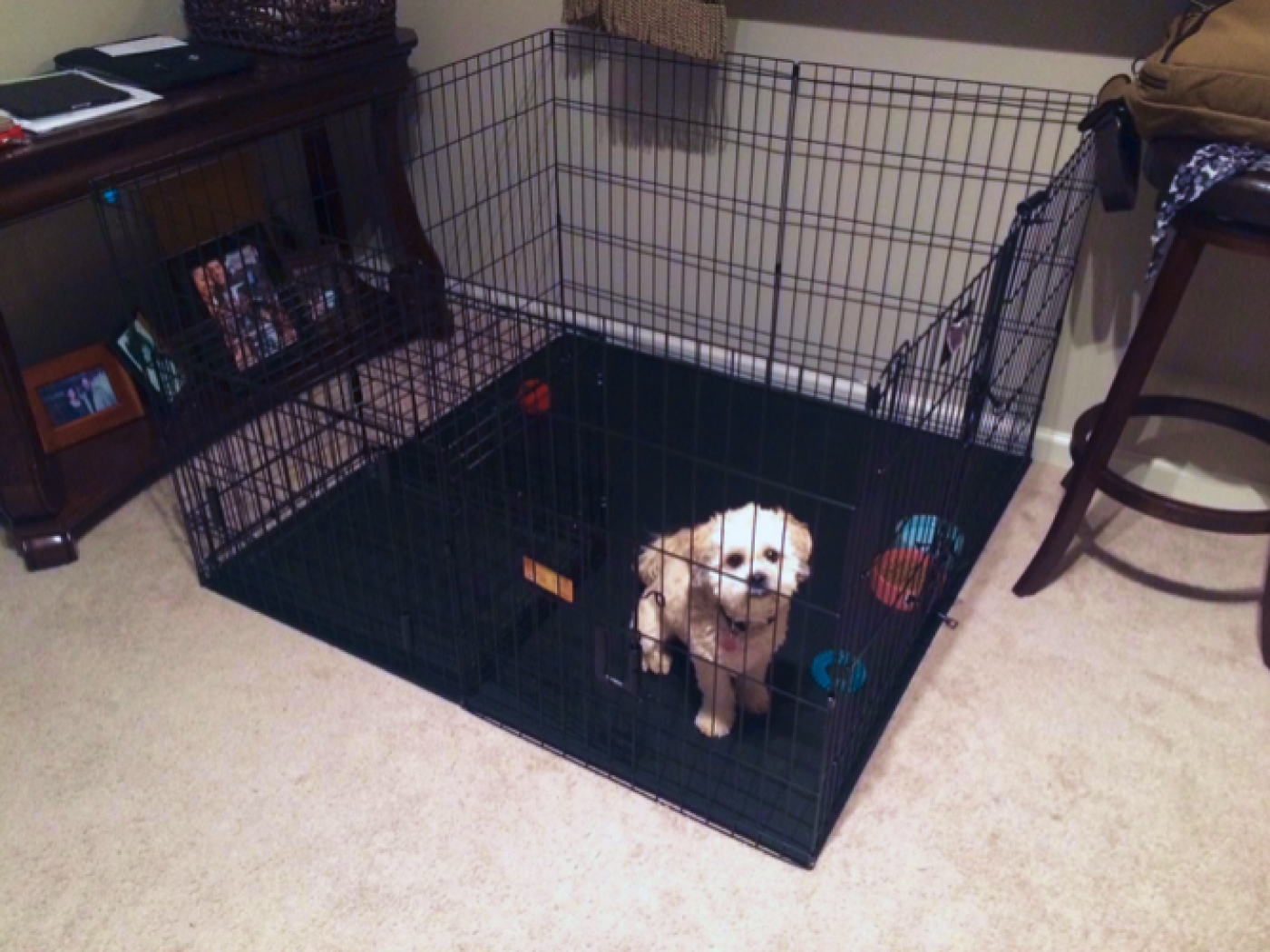 20.12.4.ABD.Bg Лежанка для животных в вольере Alegria big dog  - Вид №5