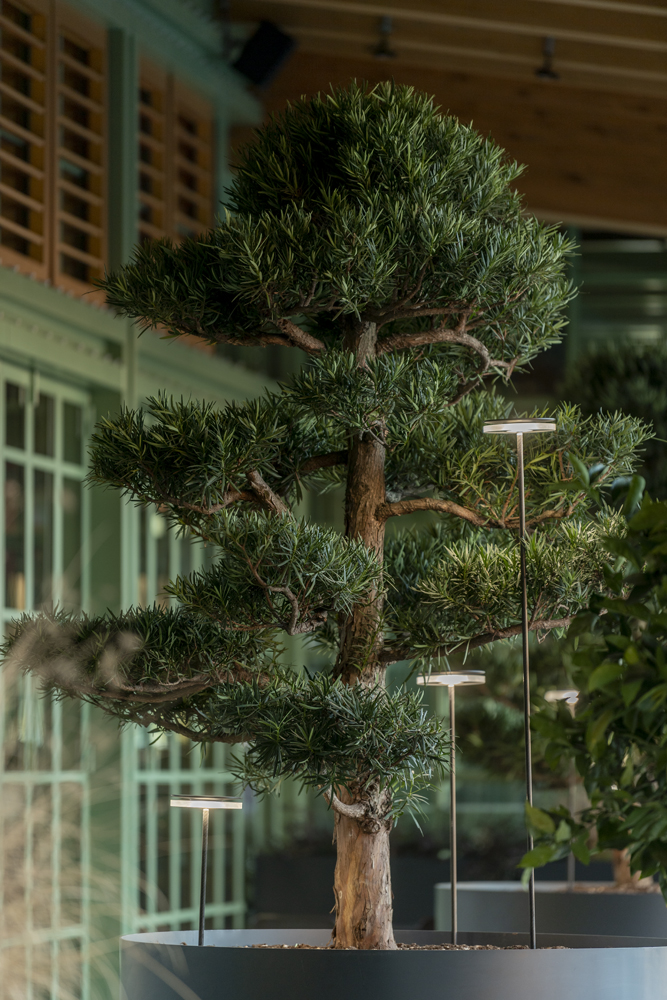 9402216 Мобильный светильник Platek CHIODO Picchetto (mobile)  CHIODO h. 1100 mm - LED 3000K 93°  - Вид №8