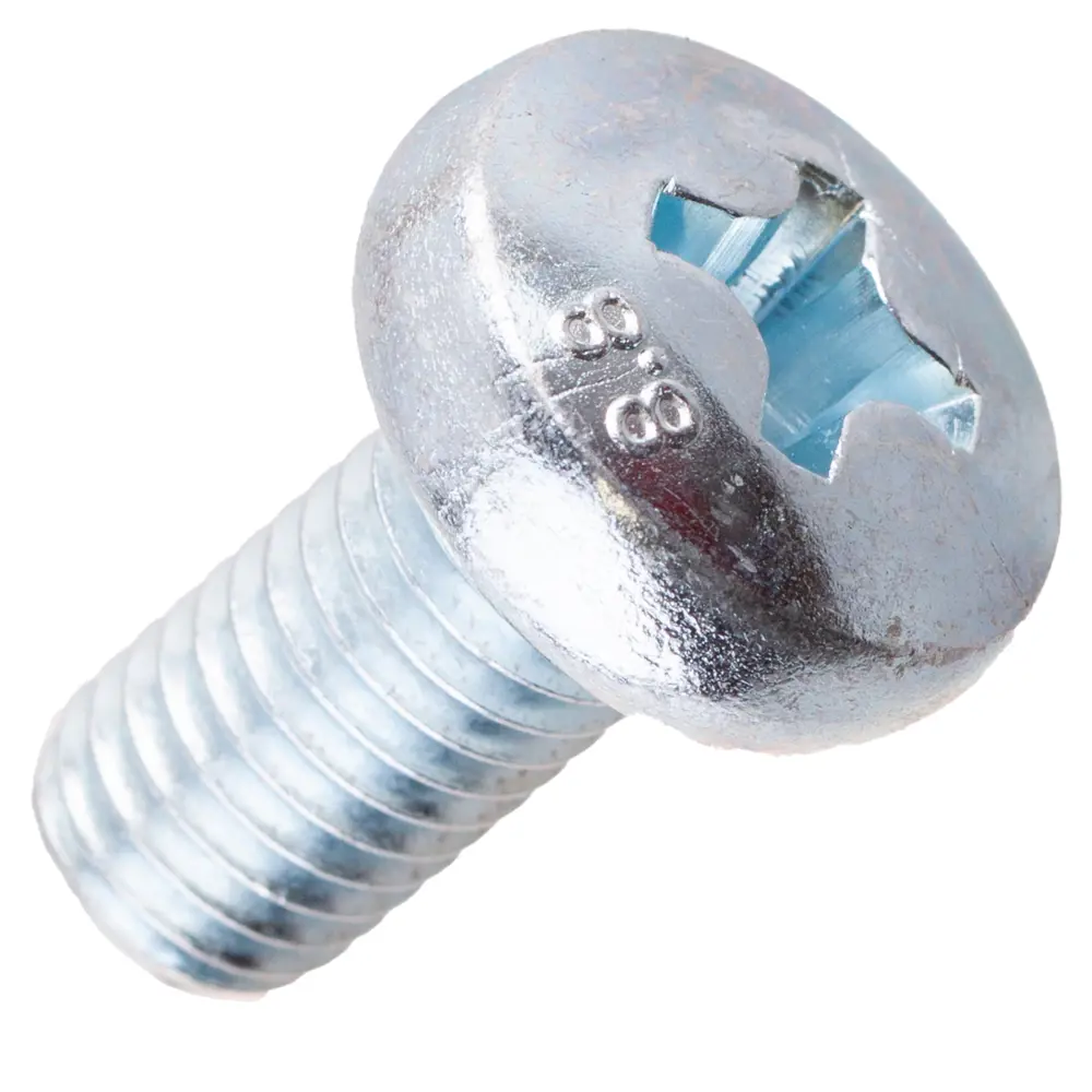 Винт крепежный оцинкованный 10×20 мм DIN 7985 (6 шт) 89413912 Santreyd STLM-1582309